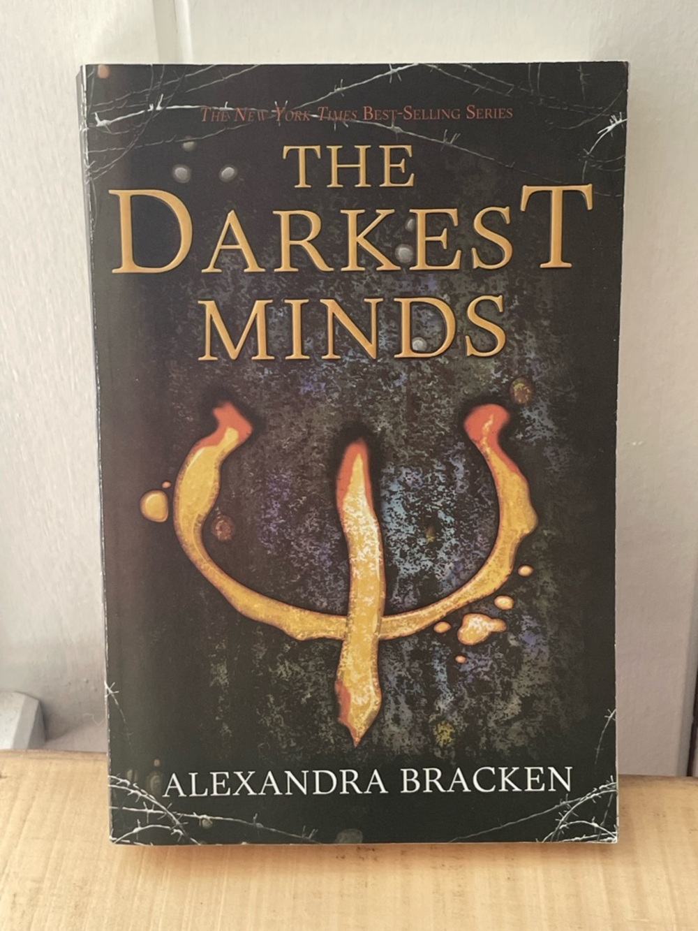 JUST IN The Darkest Minds Paperback Teen Fiction Book Sci-fi Dystopian Horror